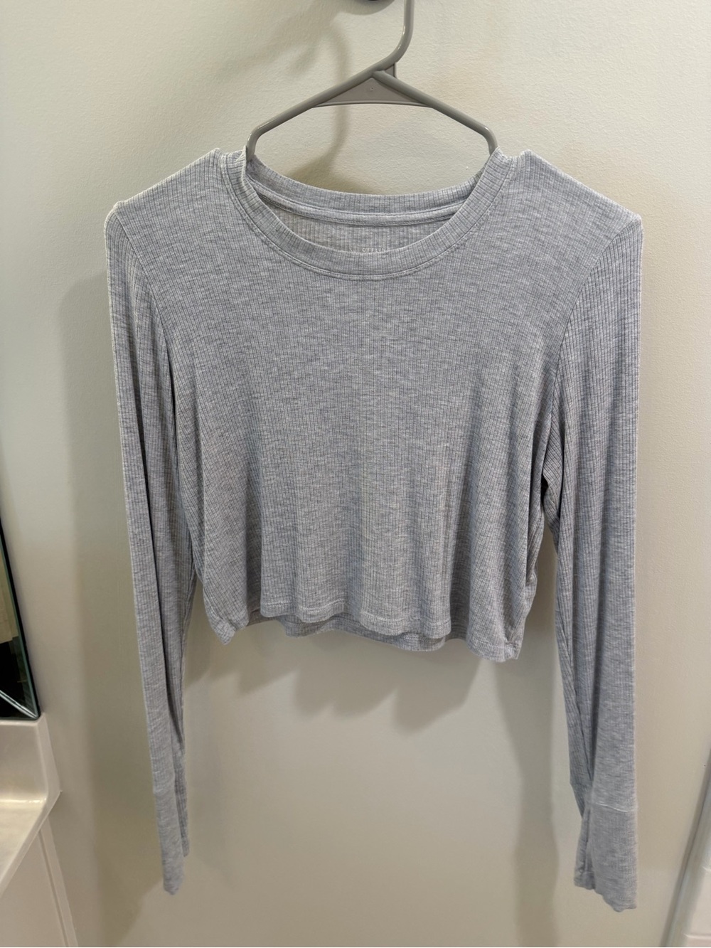 aerie Ribbed Long Sleeve Crop Top - Light Gray